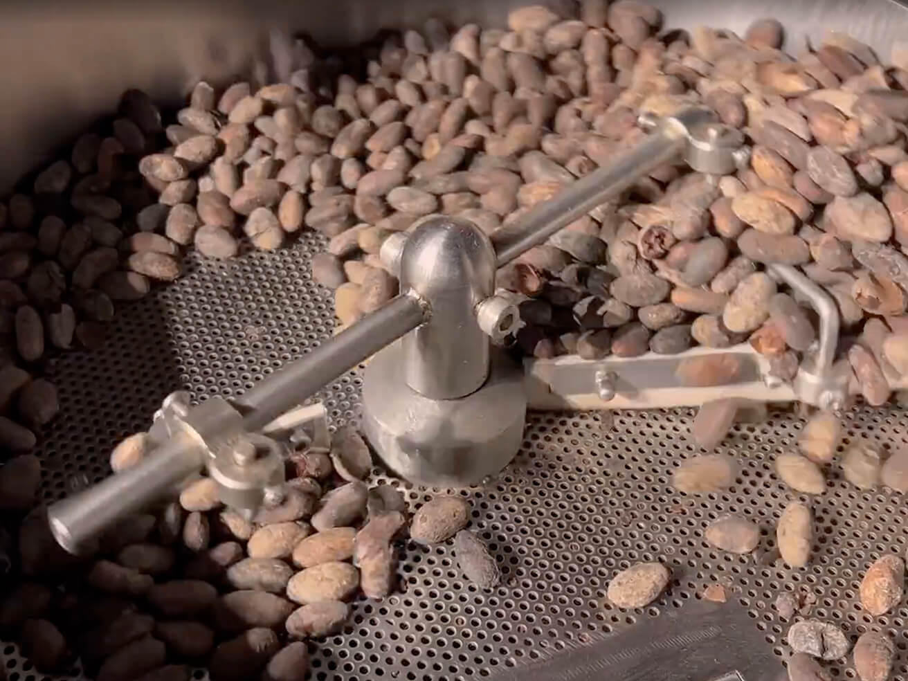 Онлайн-курс по производству шоколада от какао-бобов до плитки | CHOCOLOGY